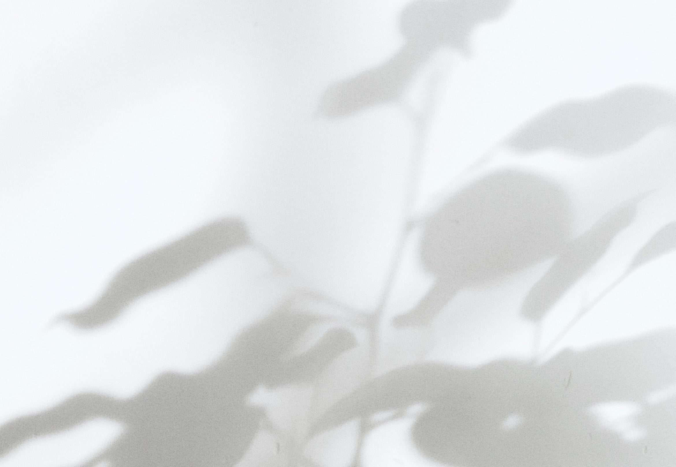 加齢でまつげが抜ける!?今すぐ始めたい「まつ育」の基本ルーティン